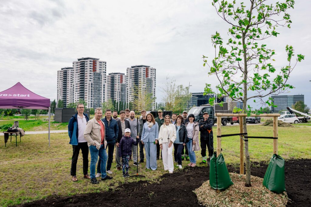 Group planting trees in urban park setting.